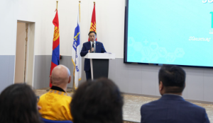 ЭМИЙН БҮРТГЭЛ, ИМПОРТ, ХЯНАЛТ, ТҮГЭЭЛТИЙН МЭДЭЭЛЛИЙГ НЭГДСЭН ЦАХИМ СИСТЕМД НЭГТГЭНЭ