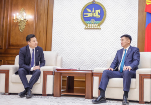 Аймаг, нийслэл, сум, дүүргийн ИТХ-ын сонгуулийн тухай хуульд өөрчлөлт оруулах тухай хуулийн төслийг өргөн мэдүүлэв