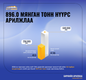 ЭНЭ 7 ХОНОГТ 896.0 МЯНГАН ТОНН НҮҮРС АРИЛЖЛАА